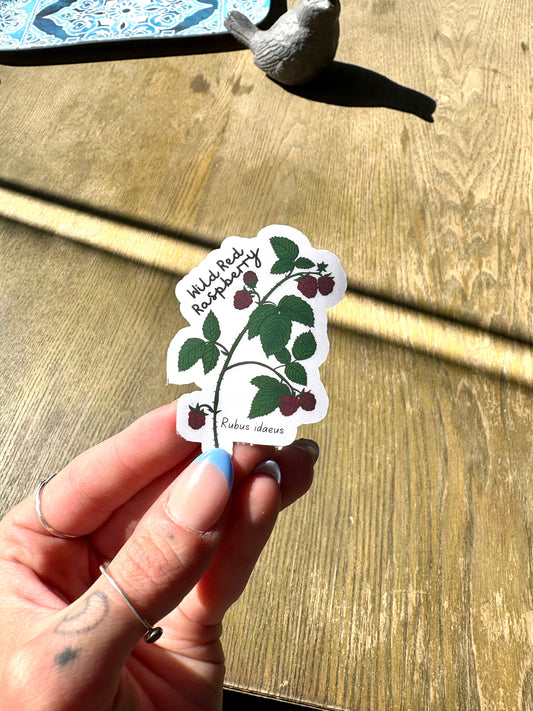 Wild Red Raspberry Sticker Twig Creations