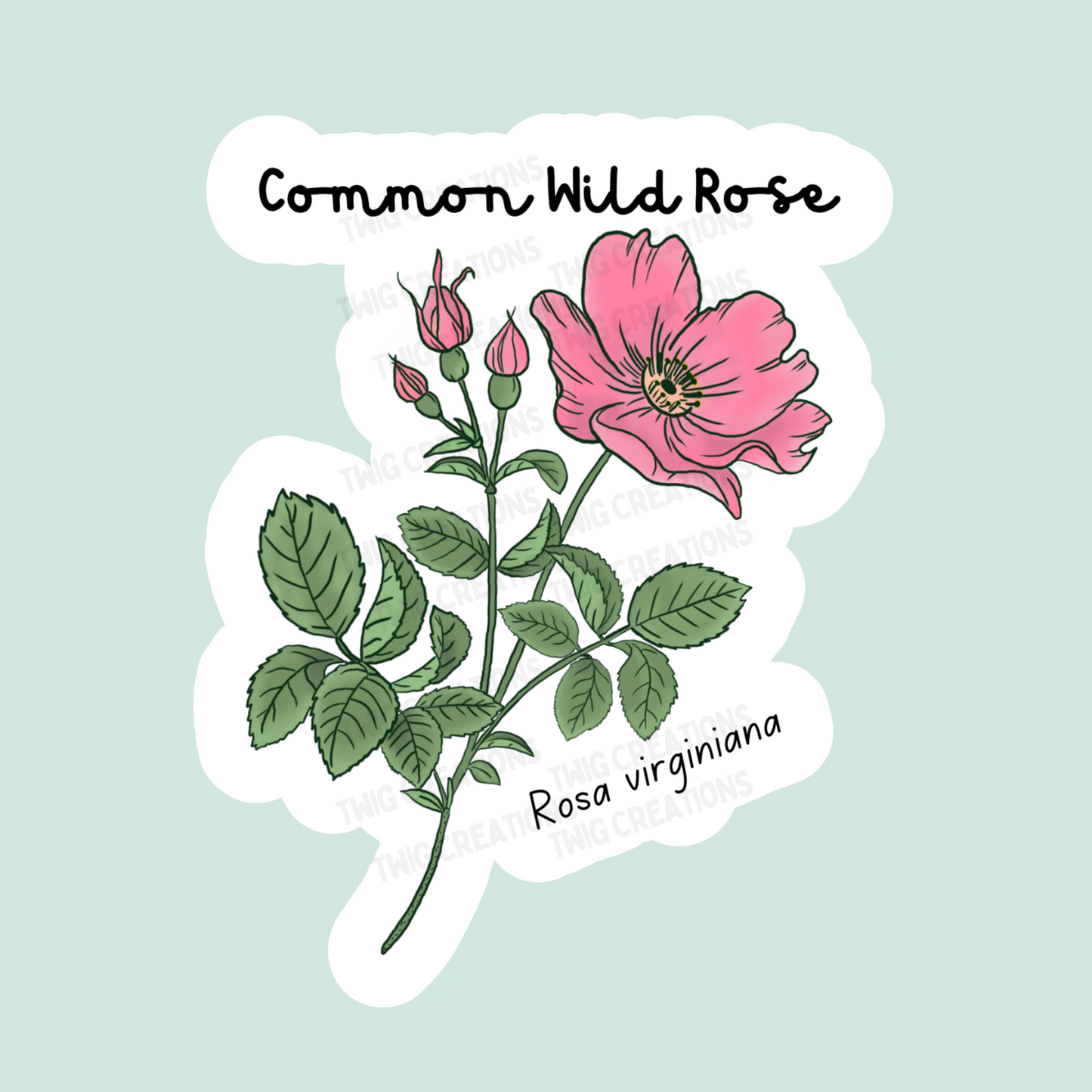 Common Wild Rose Sticker Twig Creations