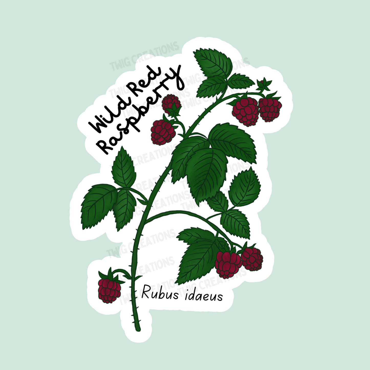 Wild Red Raspberry Sticker Twig Creations