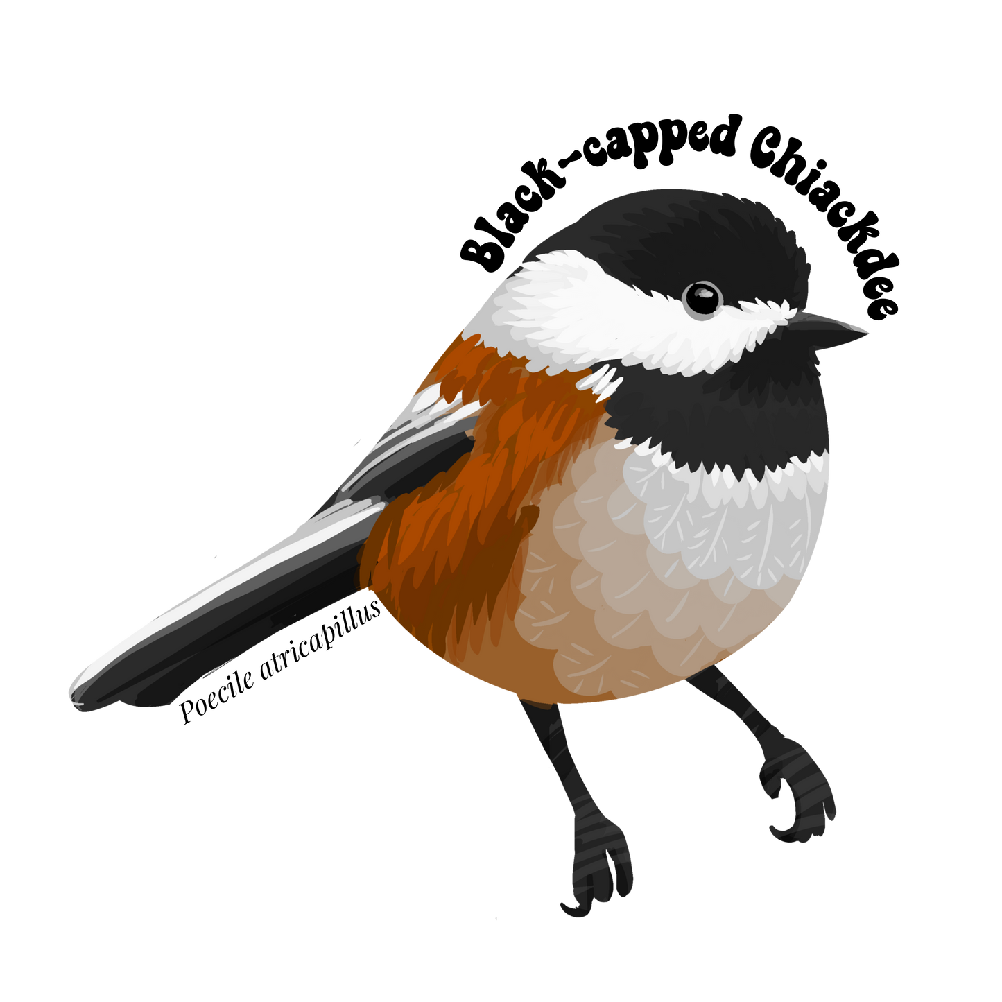 Black-capped Chickadee Sticker Twig Creations