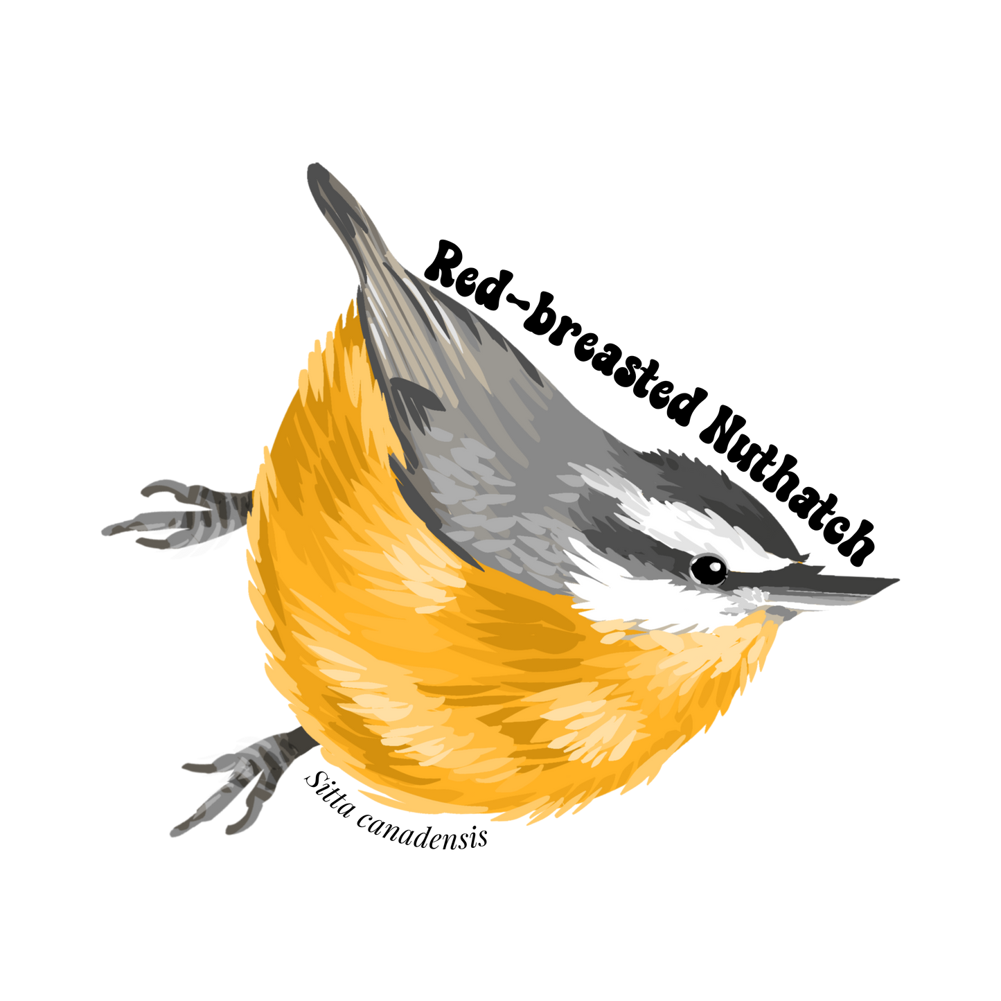 Red-breasted Nuthatch Sticker Twig Creations