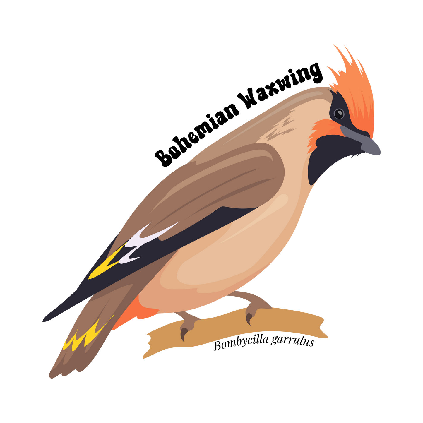 Bohemian Waxwing Sticker Twig Creations