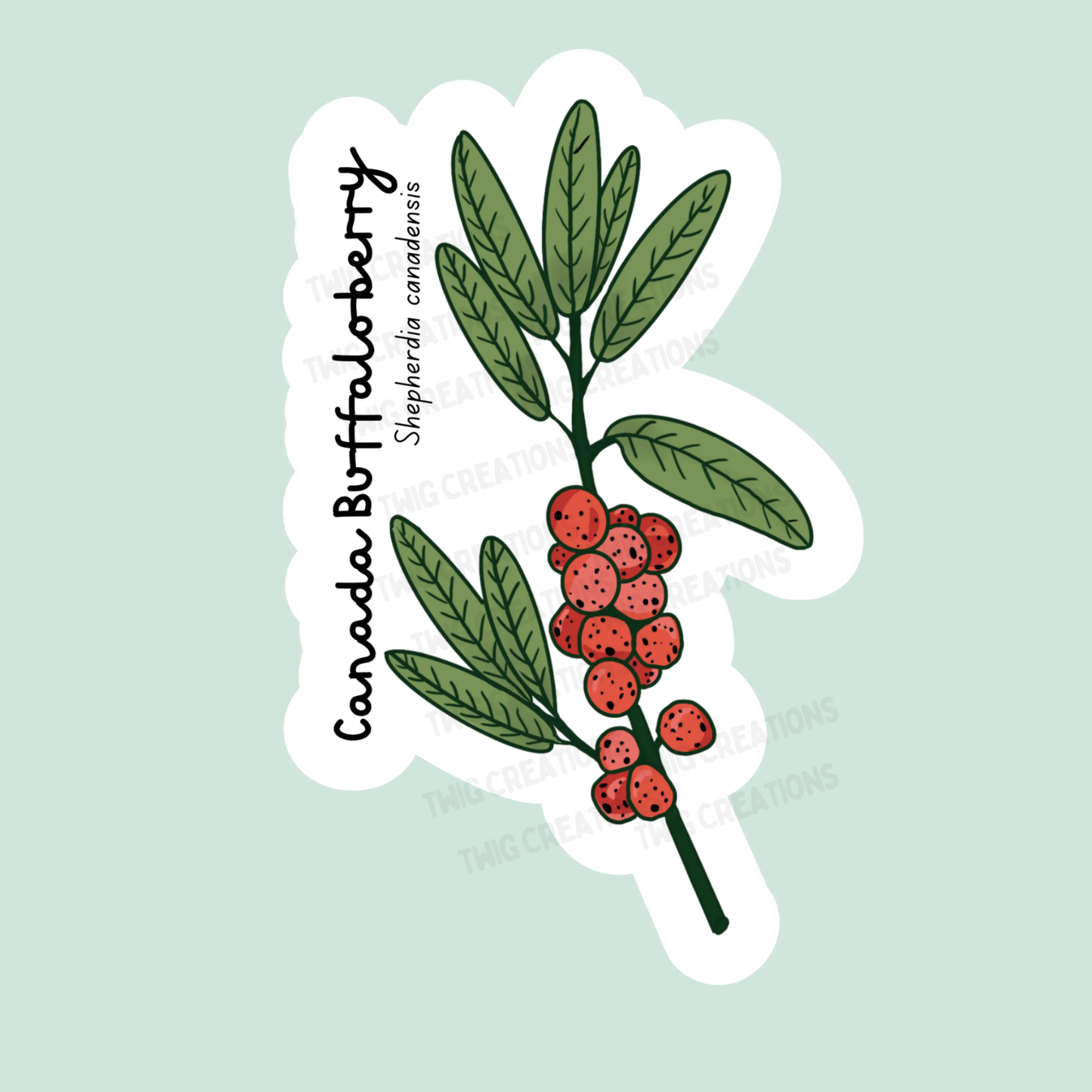 Canada Buffaloberry Sticker Twig Creations