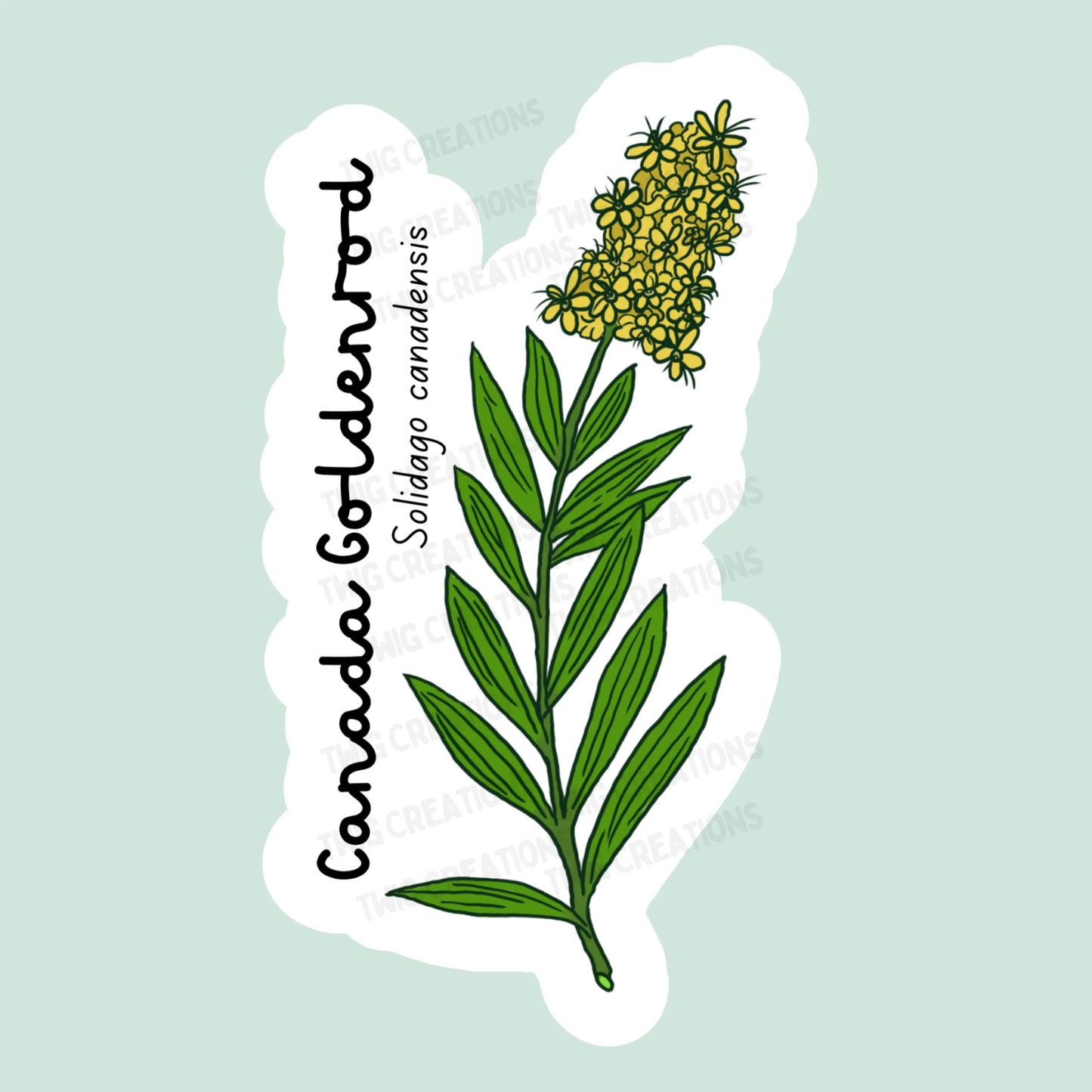 Canada Goldenrod Sticker Twig Creations