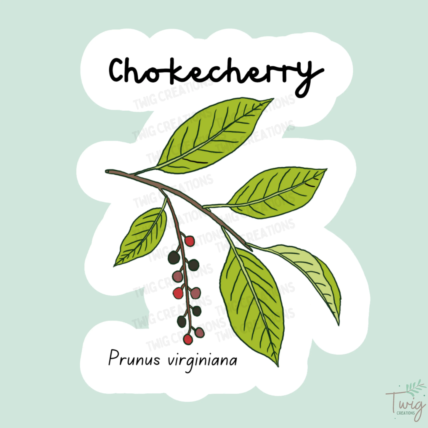 Chokecherry Sticker Twig Creations