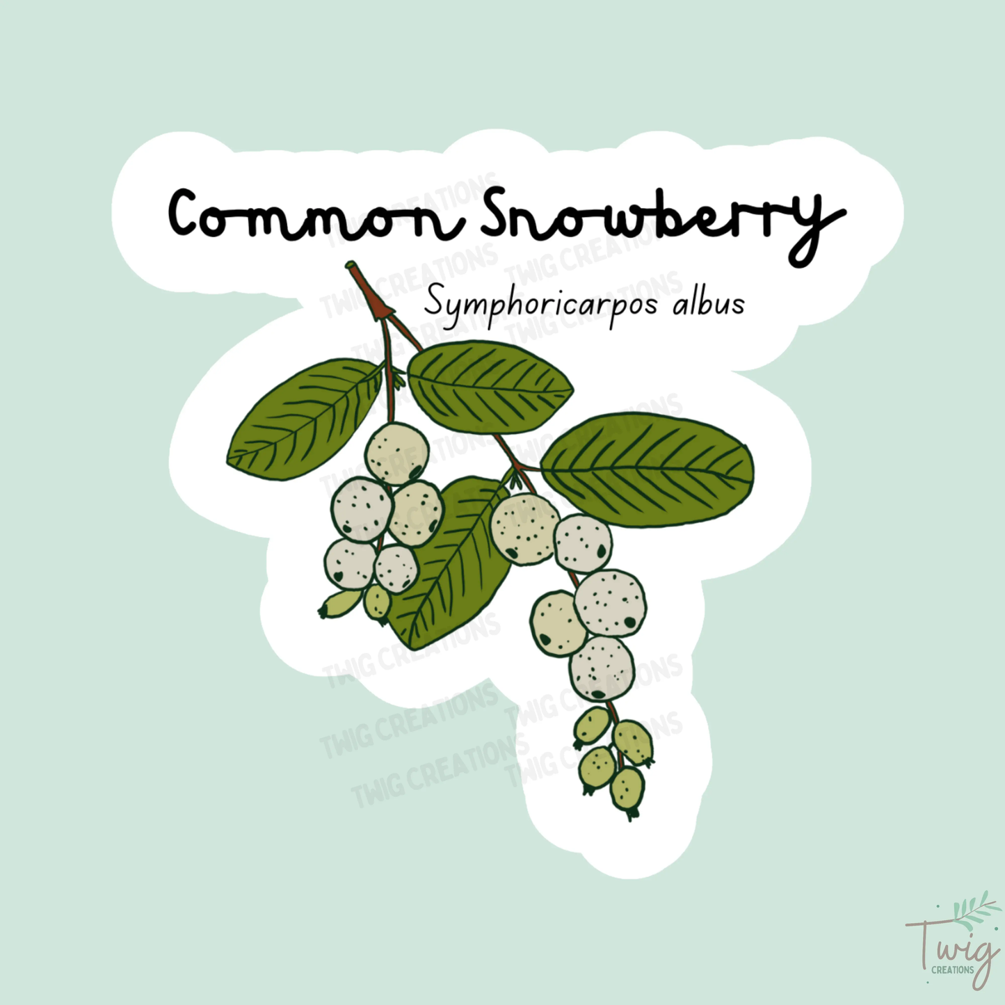 Common Snowberry Sticker Twig Creations