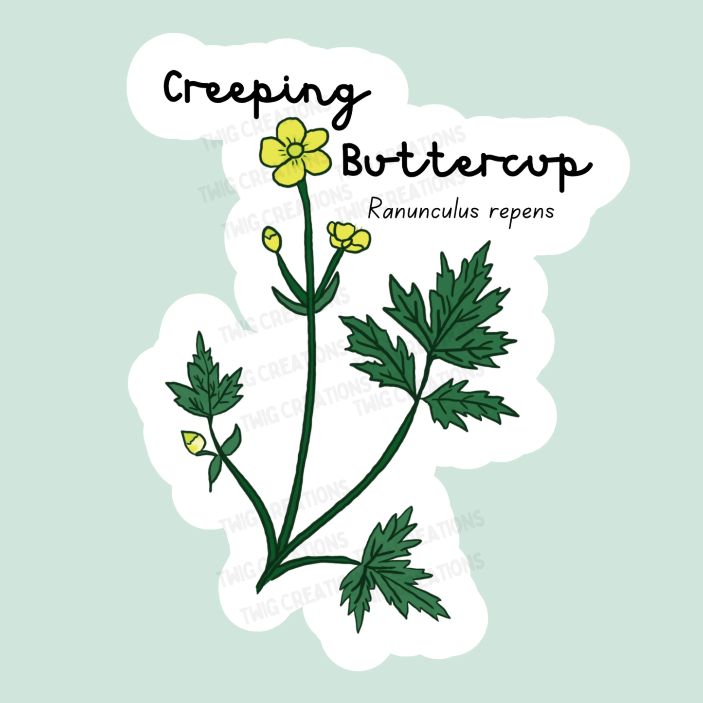 Creeping Buttercup Sticker Twig Creations