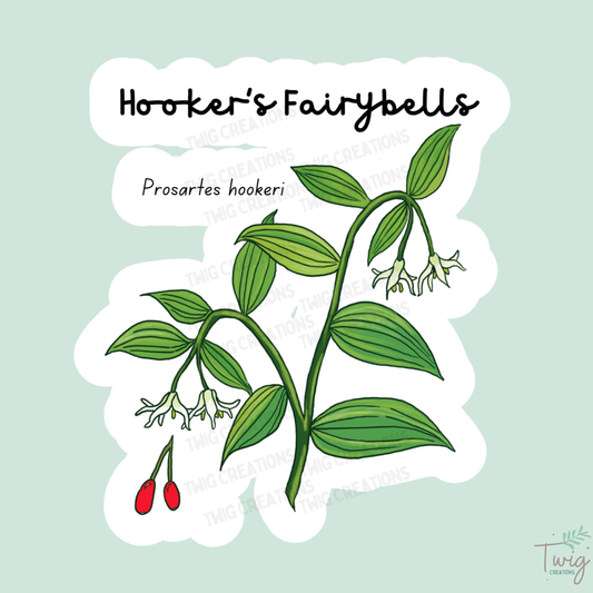 Hooker's Fairybells Sticker Twig Creations