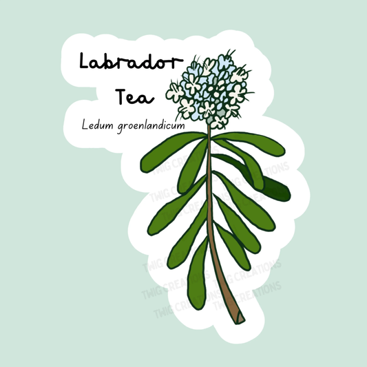 Labrador Tea Sticker Twig Creations