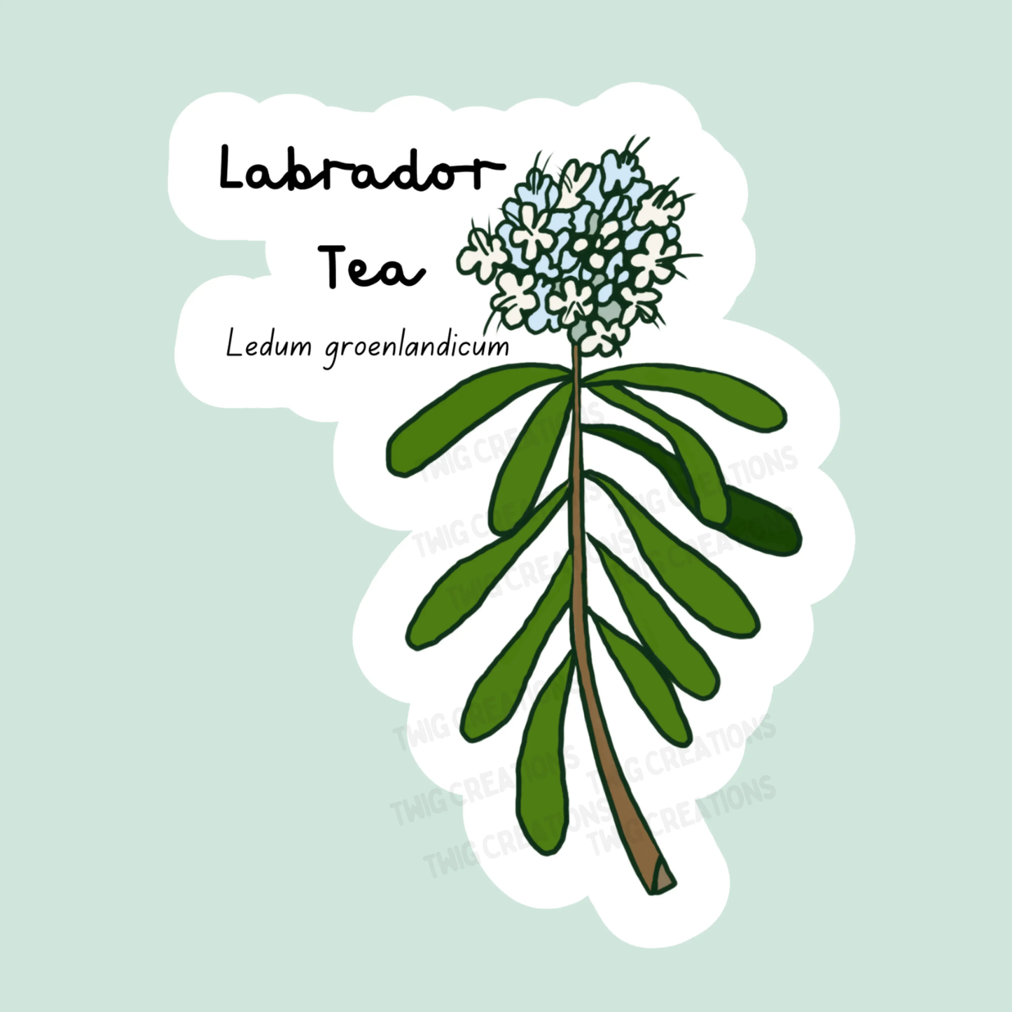 Labrador Tea Sticker Twig Creations