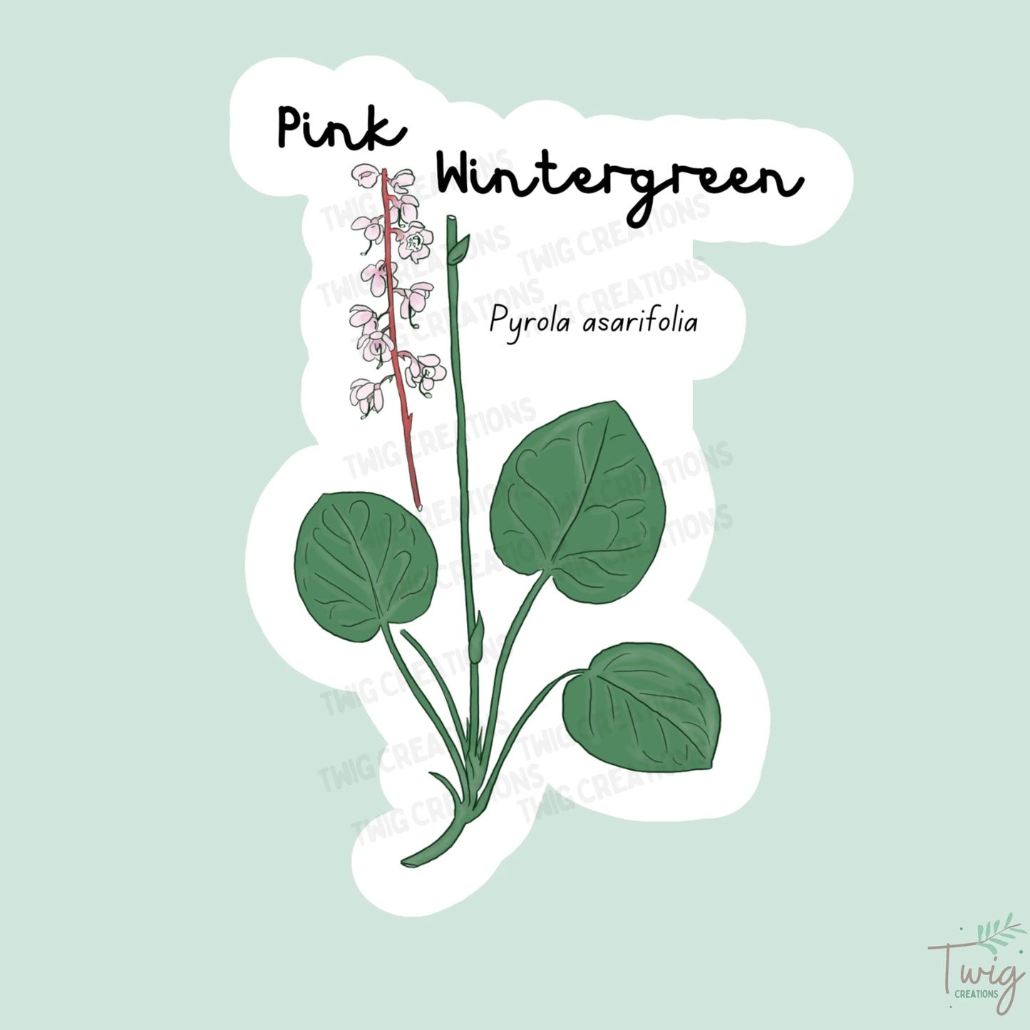 Pink Wintergreen Twig Creations