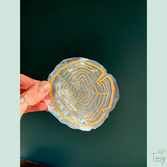 Tree Rings Rainbow Window Cling Bundle #1 (3 Pack) Twig Creations