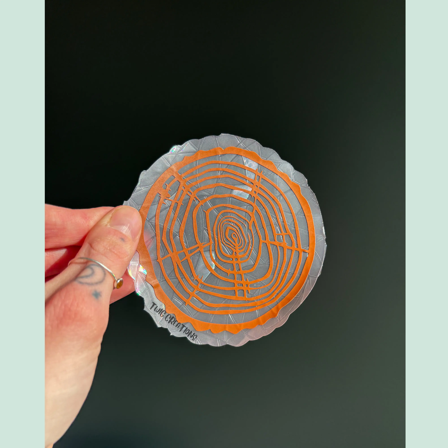 Tree Rings Rainbow Window Cling Bundle #3 (3 pack) Twig Creations