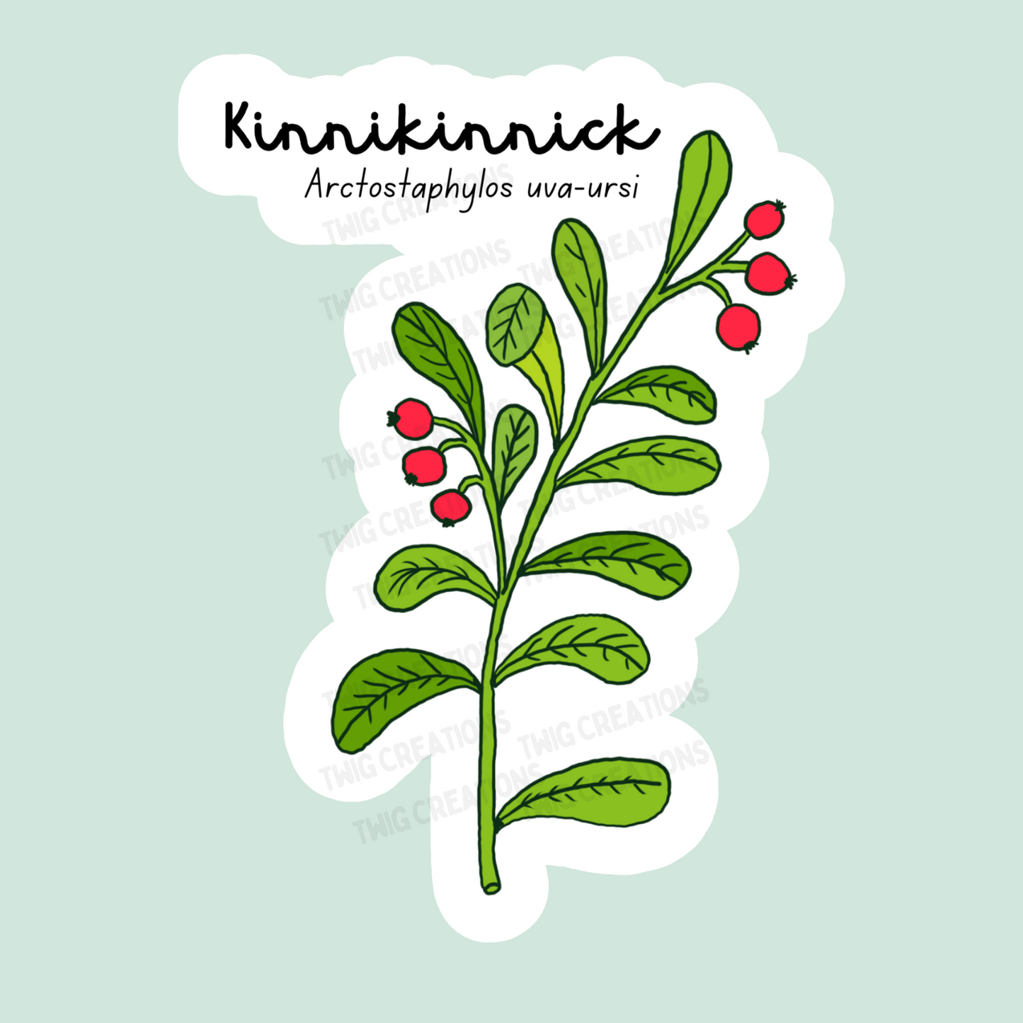 Kinnikinnick Sticker