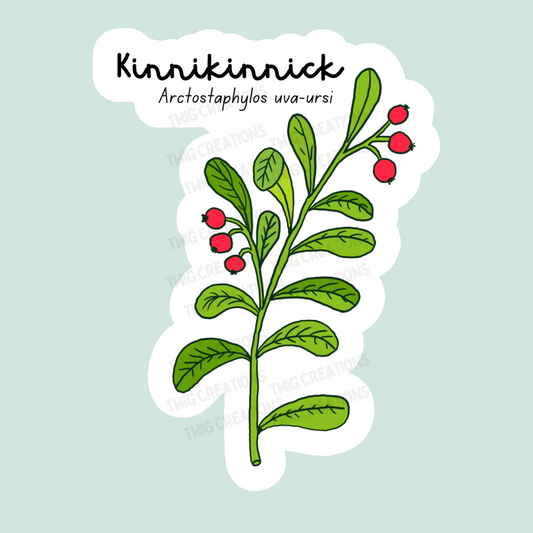 Kinnikinnick Sticker