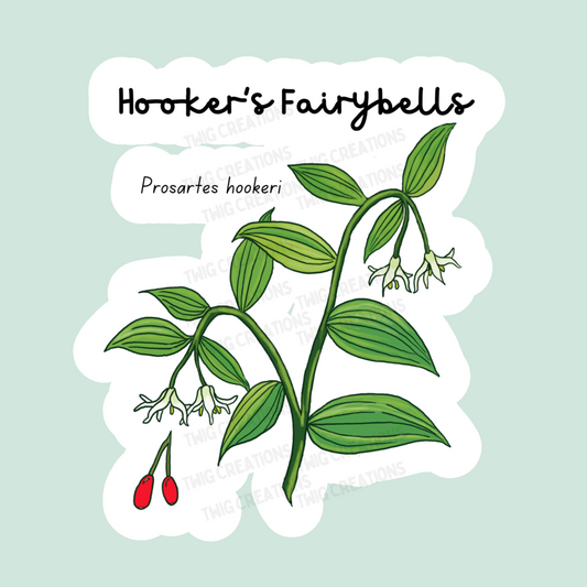 Hooker's Fairybells Sticker