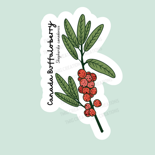 Canada Buffaloberry Sticker
