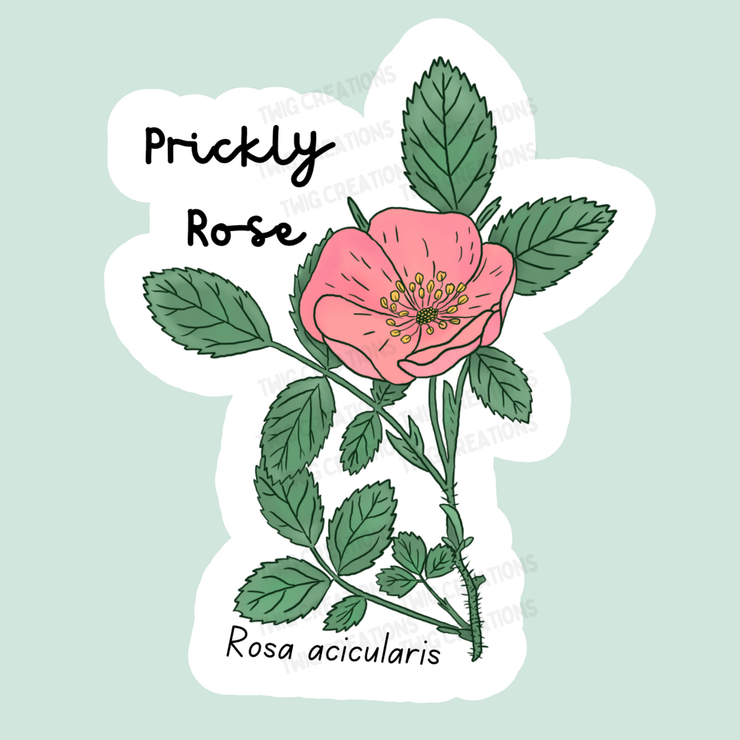 Prickly Rose Sticker