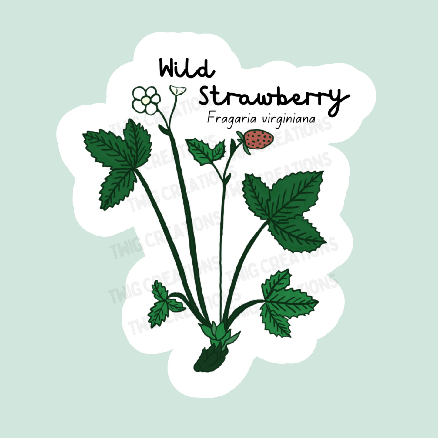 Wild Strawberry Sticker
