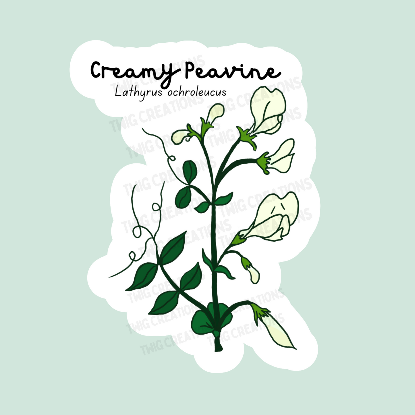 Creamy Peavine Sticker