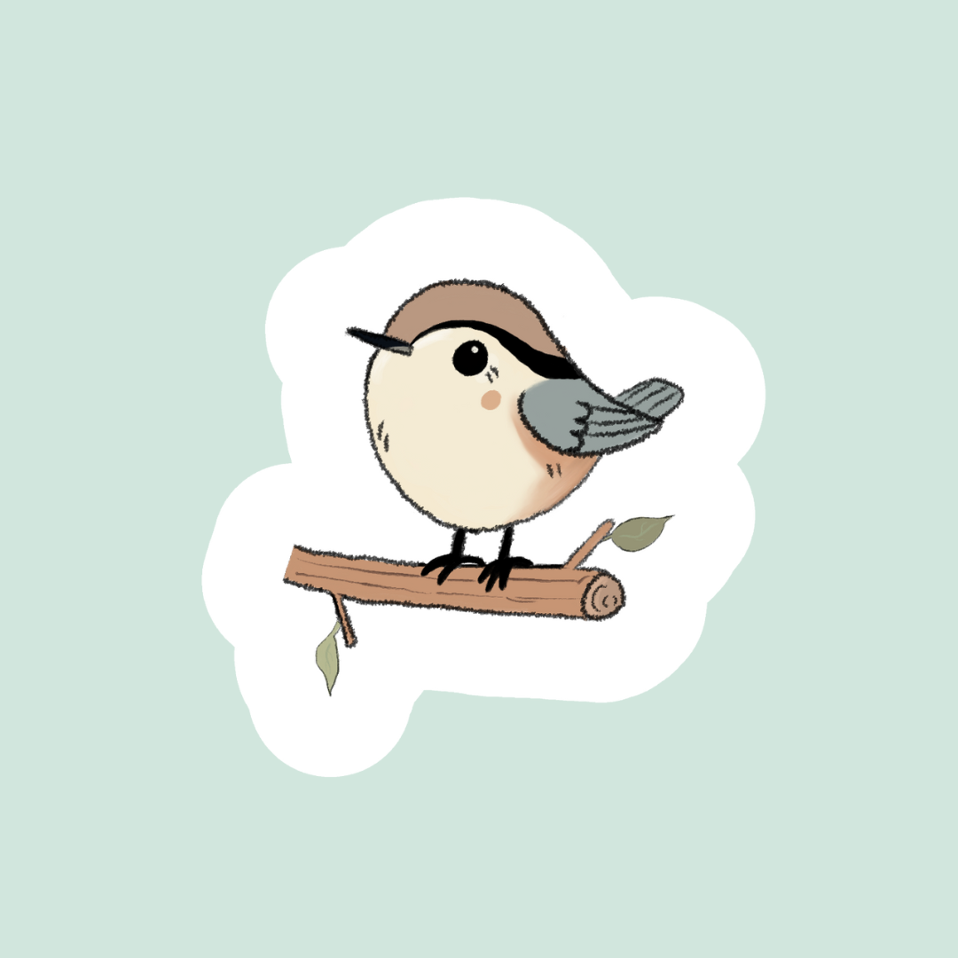 White-breasted Nuthatch Sticker