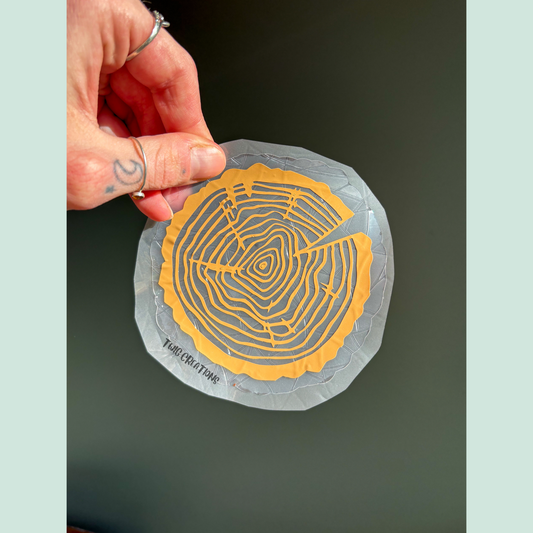 Tree Rings Rainbow Window Cling Bundle #3 (3 pack)