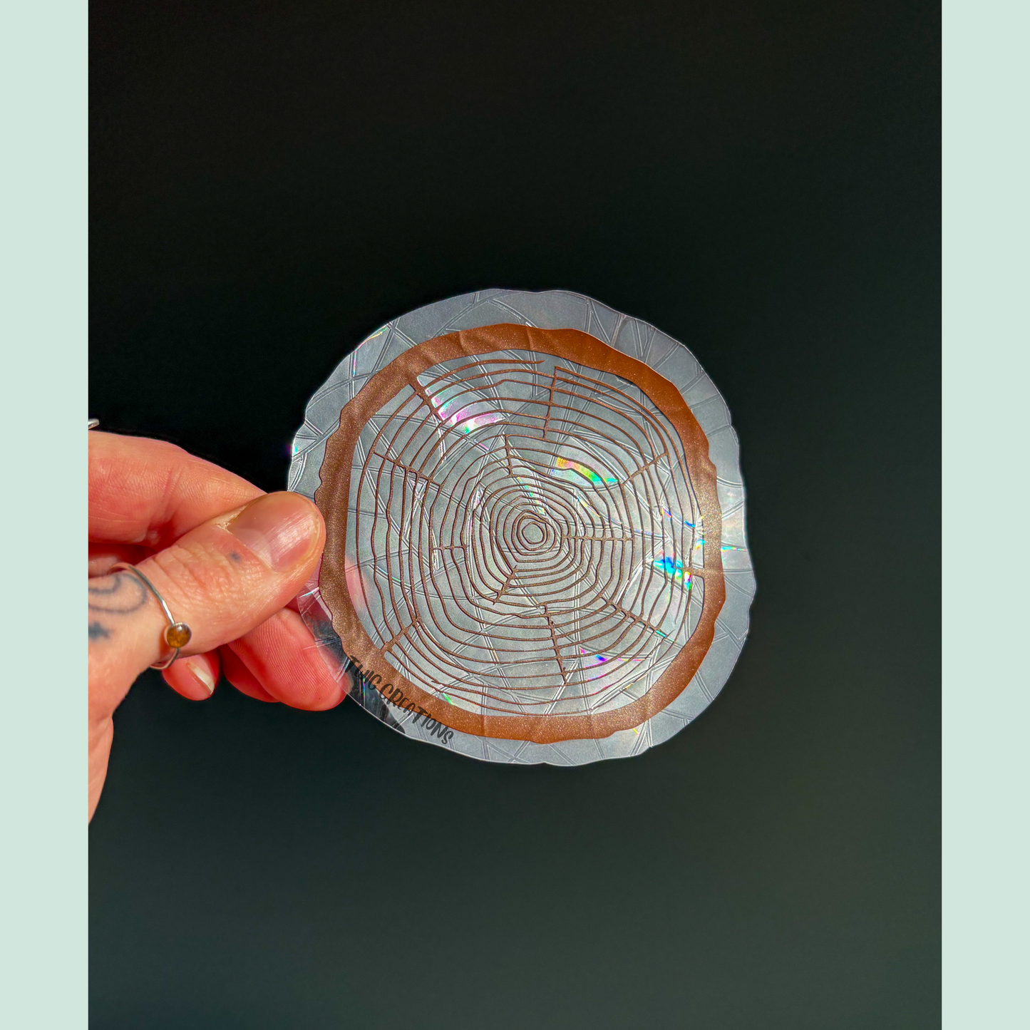 Tree Rings Rainbow Window Cling Bundle #3 (3 pack)