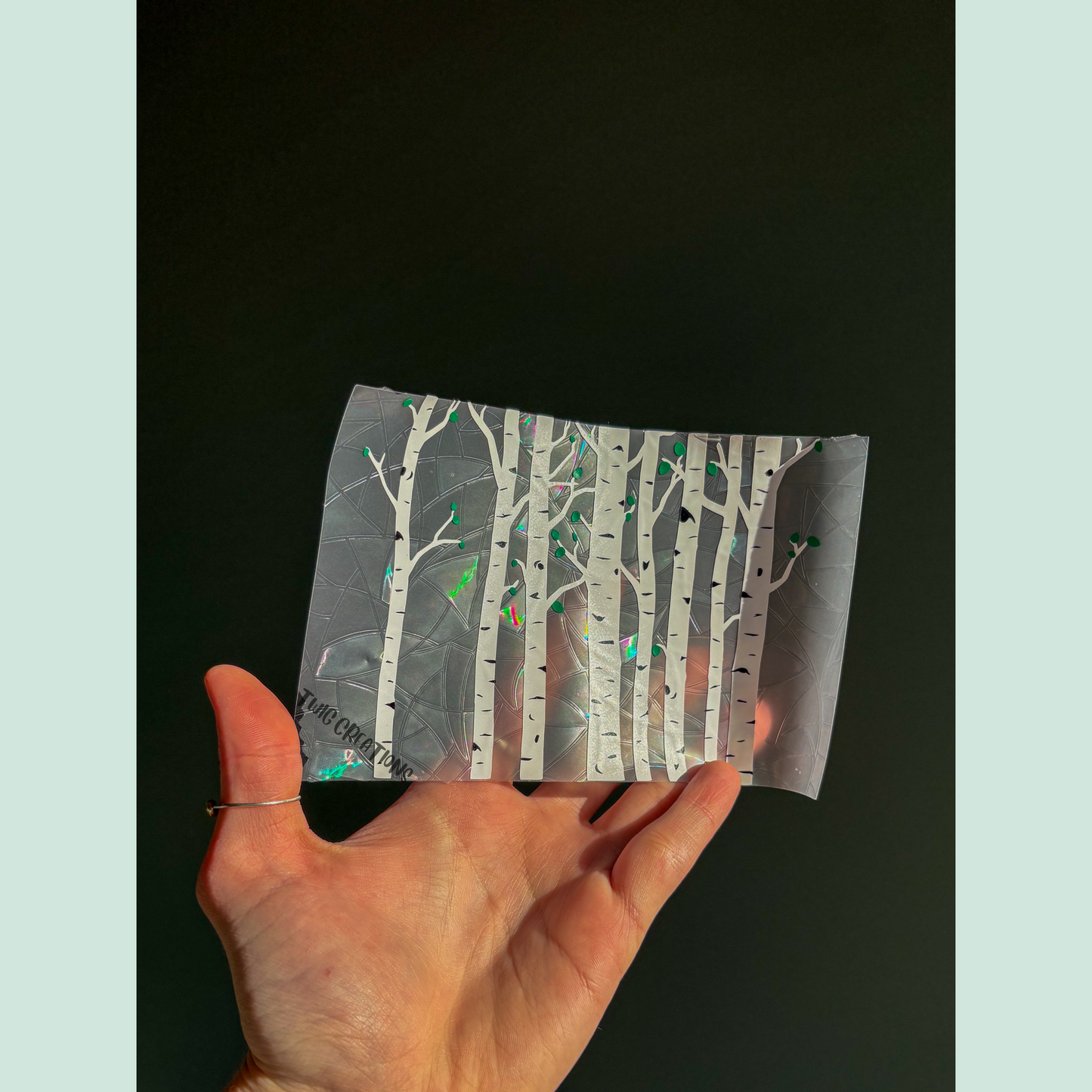 Birch Trees Rainbow Window Cling Bundle Twig Creations