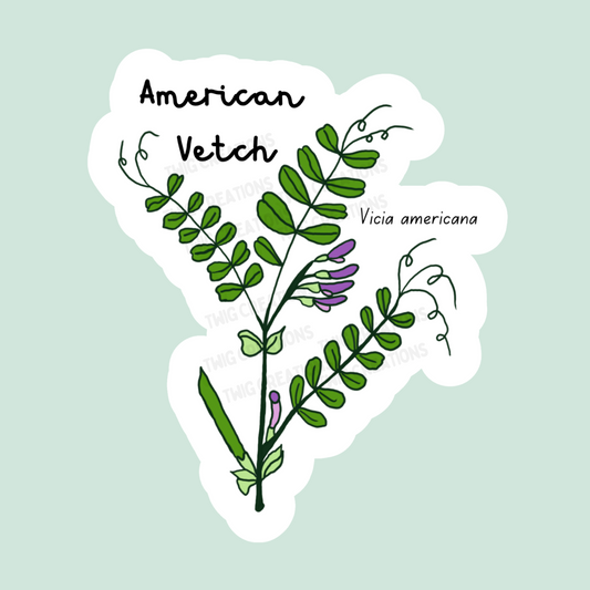 American Vetch Sticker