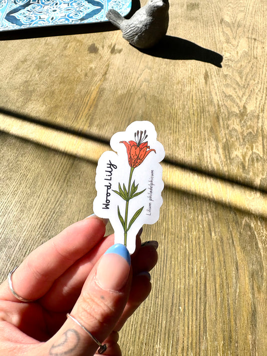 Wood Lily Sticker