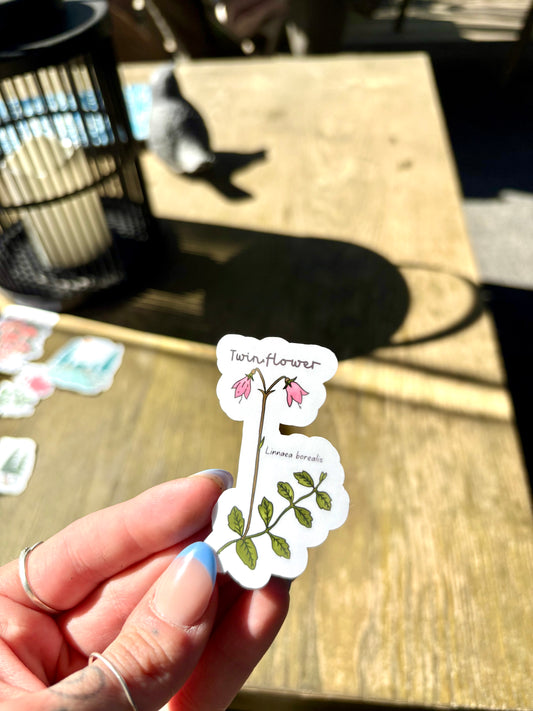 Twinflower Sticker