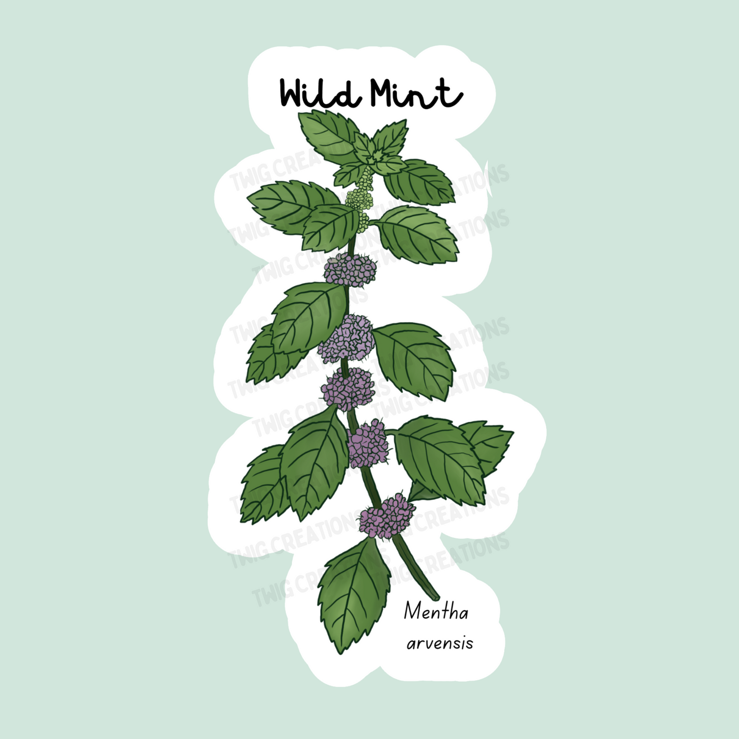 Wild Mint Sticker