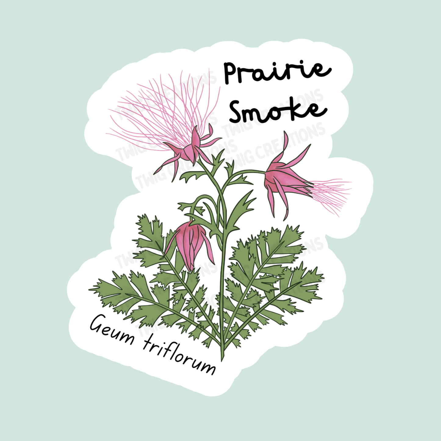 Prairie Smoke Sticker Twig Creations