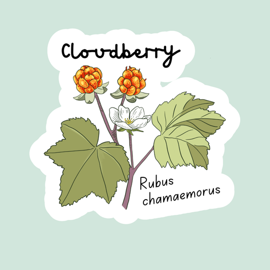 Cloudberry Sticker Twig Creations