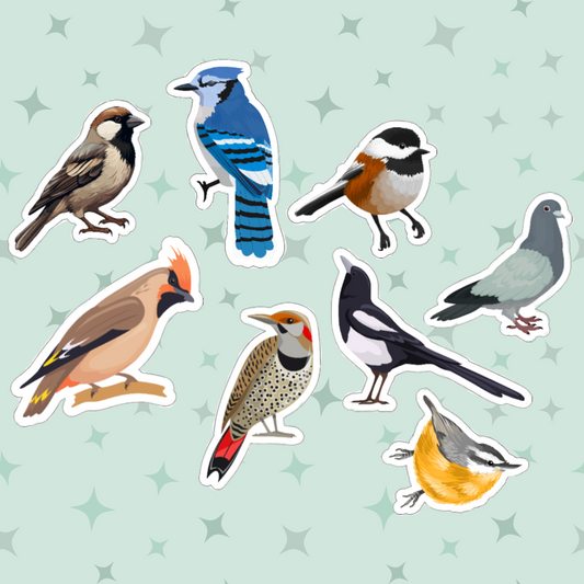 Alberta Birds Magnet Pack
