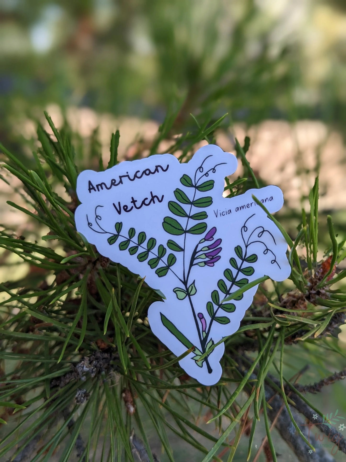 American Vetch Sticker Twig Creations
