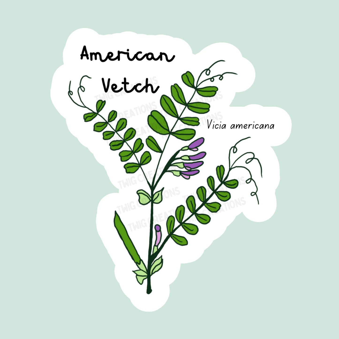 American Vetch Sticker Twig Creations