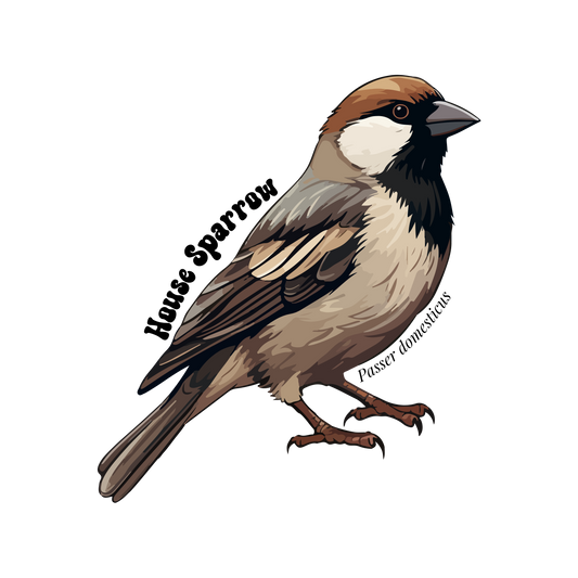 House Sparrow Sticker