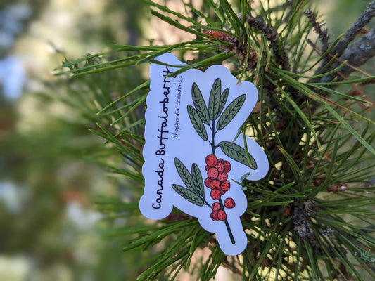 Canada Buffaloberry Sticker Twig Creations