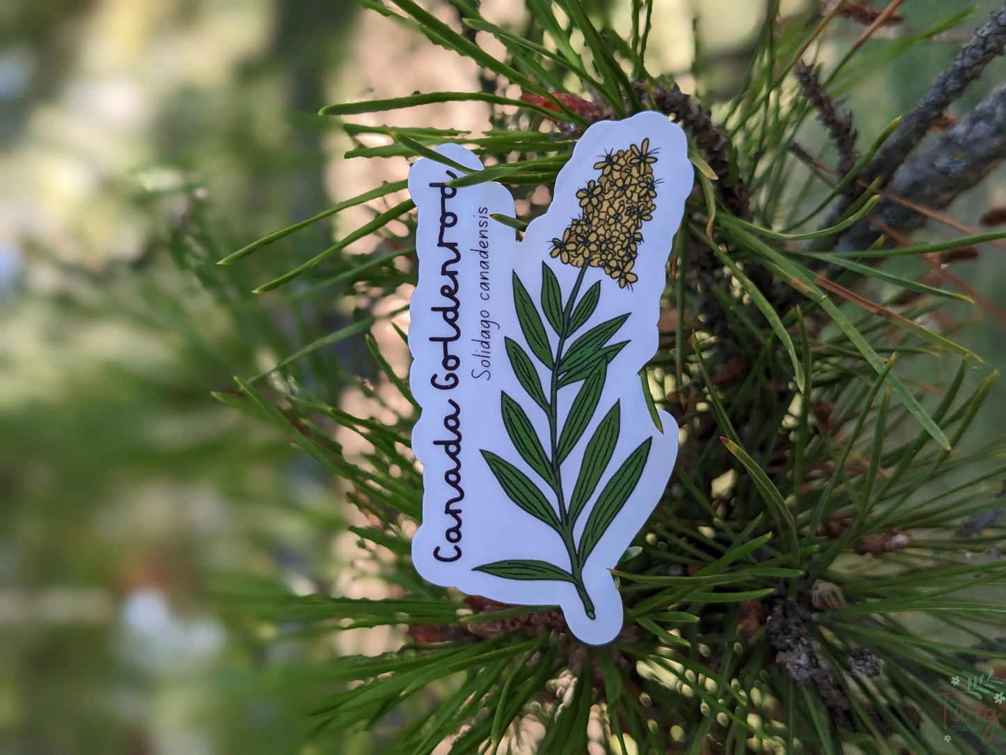 Canada Goldenrod Sticker Twig Creations