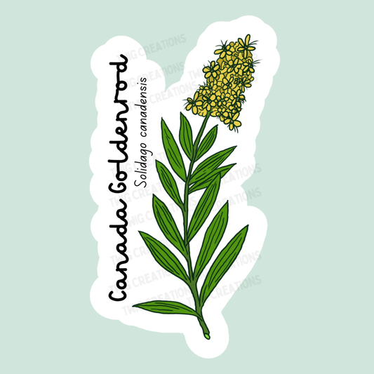 Canada Goldenrod Sticker Twig Creations