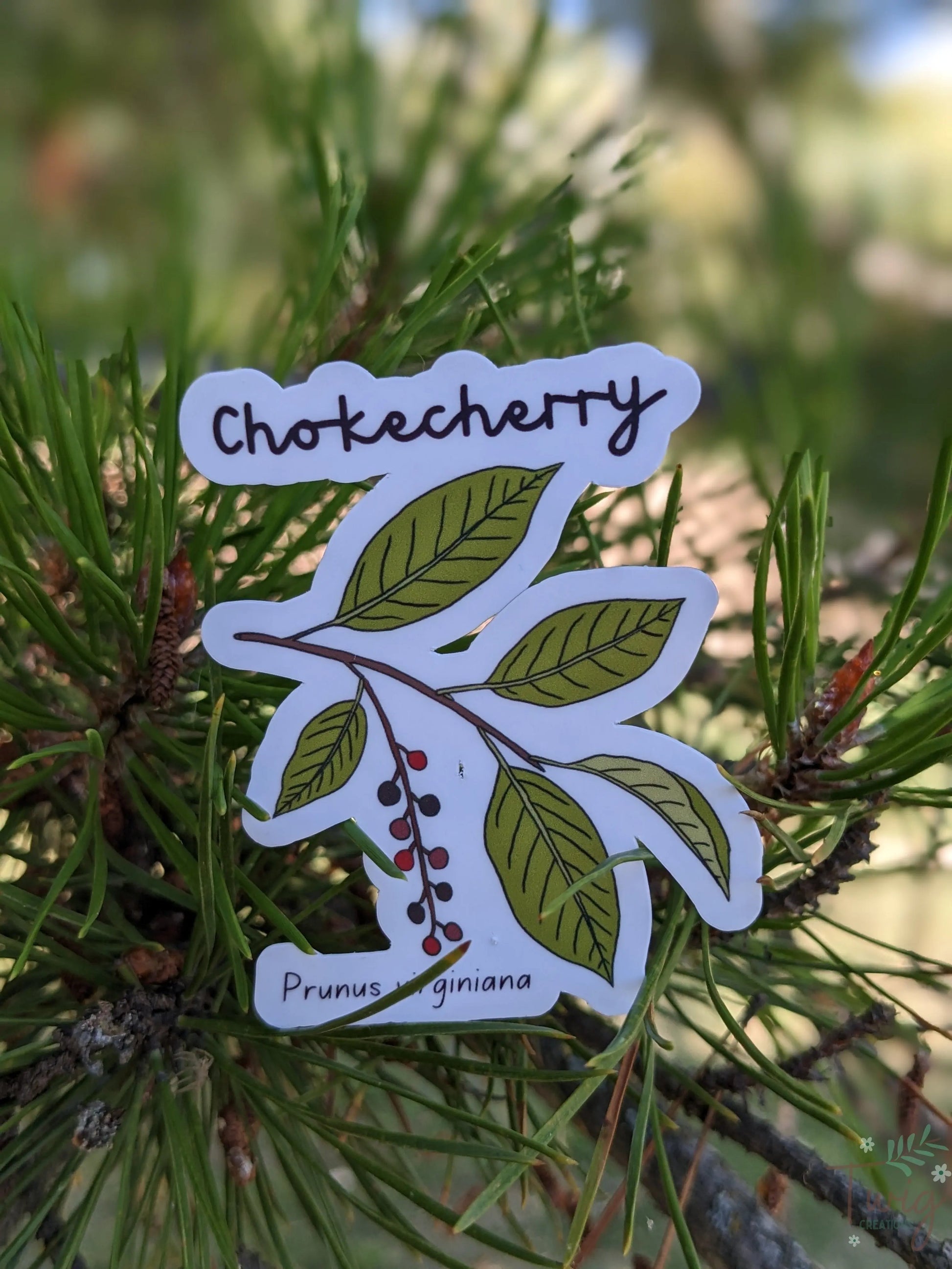 Chokecherry Sticker Twig Creations