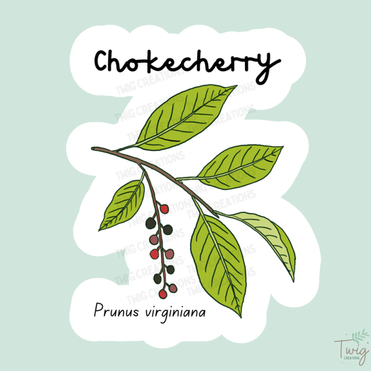 Chokecherry Sticker Twig Creations