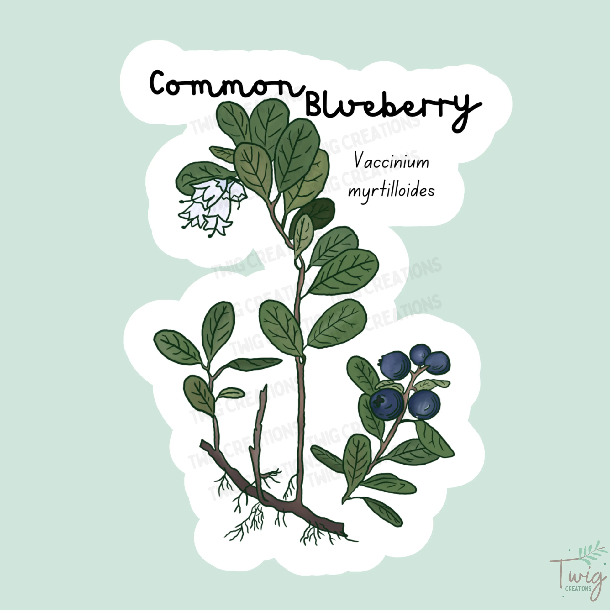 Common Blueberry Sticker Twig Creations