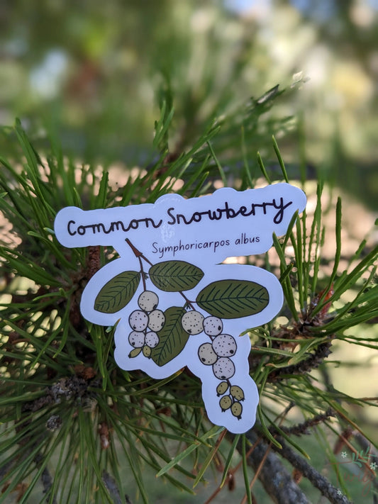 Common Snowberry Sticker Twig Creations