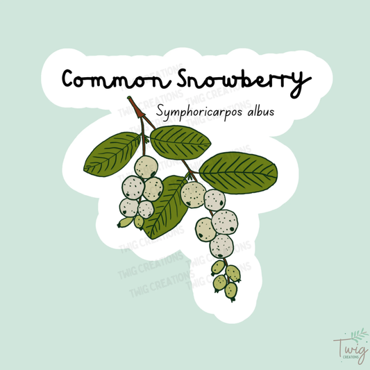 Common Snowberry Sticker Twig Creations