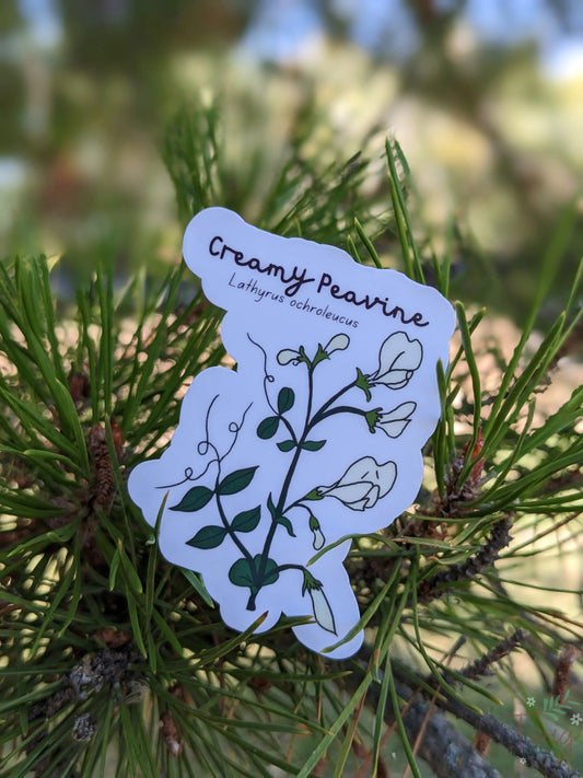 Creamy Peavine Sticker Twig Creations
