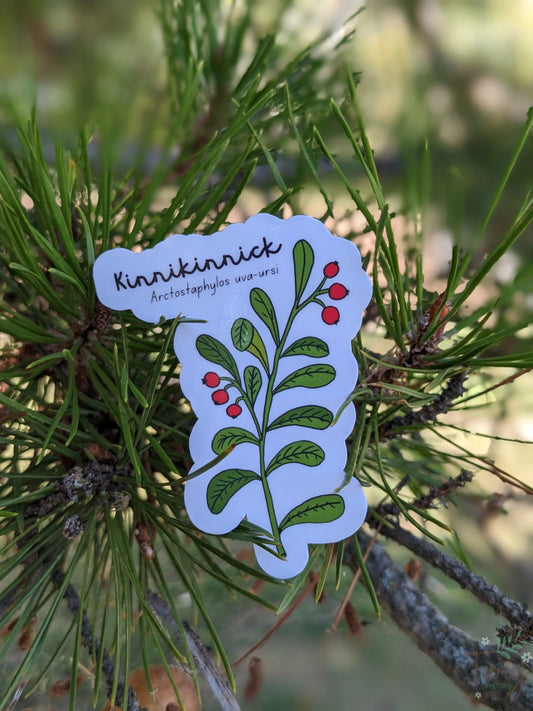 Kinnikinnick Sticker Twig Creations