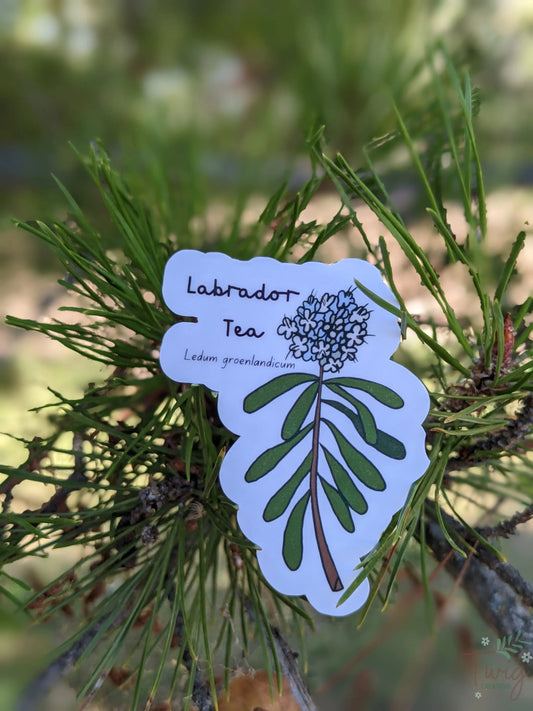 Labrador Tea Sticker Twig Creations