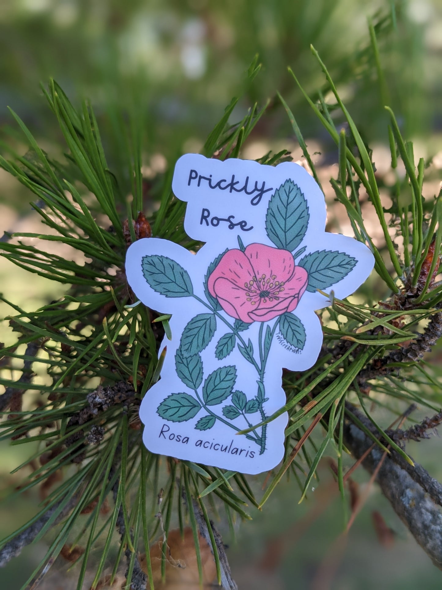 Prickly Rose Sticker Twig Creations